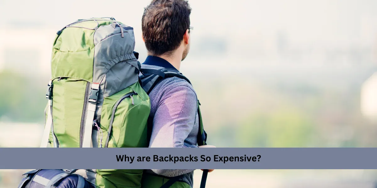 Why are Backpacks So Expensive? Discover the Hidden Costs